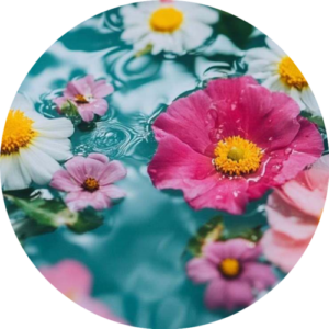 Panca Pushpa water for Abhishek (Full)