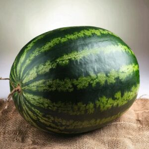 Watermelon Juice for Abhishek (full)