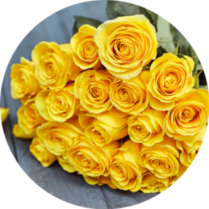 Yellow Rose Flower